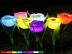 Solrne LED svetlo tulipn